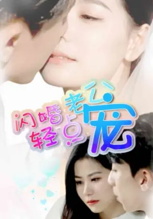 闪婚老公轻点宠海报