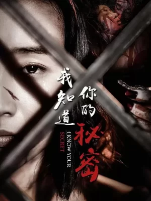 我知道你的秘密海报