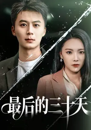 最后的三十天海报