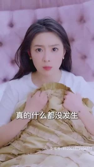 彩礼谈崩后我闪婚了豪门老公海报