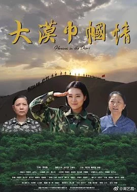 大漠巾帼情海报