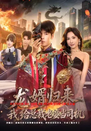 龙婿归来,我给总裁老婆当司机海报
