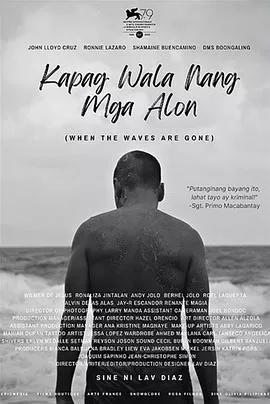 当浪潮已逝海报