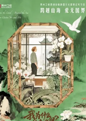 我为什么住在这里海报