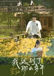 我迟到了那么多年电影版海报