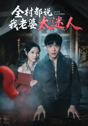 全村都说我老婆太迷人海报