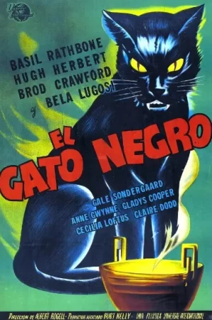 黑猫海报