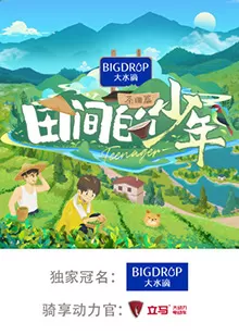 田间的少年第二季海报