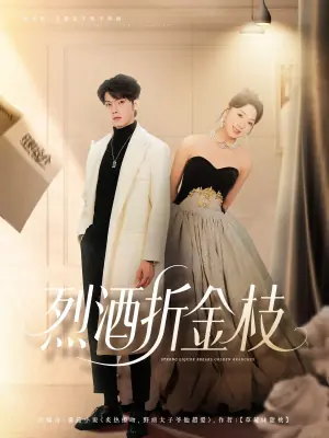 烈酒折金枝海报