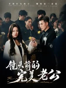 镜头前的完美老公海报