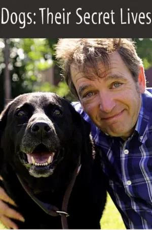 狗狗的秘密生活海报