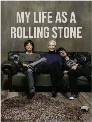 我的滚石生活第一季海报
