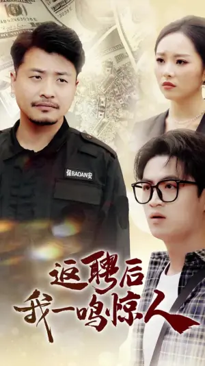 返聘后我一鸣惊人海报