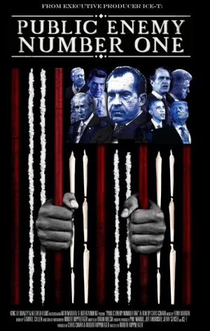 头号公众敌人海报