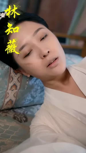 皇后娘娘又双胎了海报