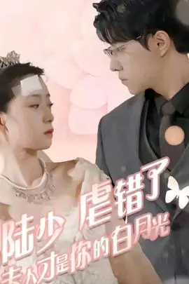 陆少虐错了,夫人才是你的白月光海报