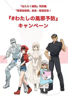 工作细胞特别篇:感冒海报