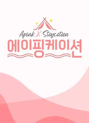 apinkation海报