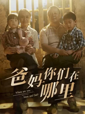 爸妈你们在哪里海报