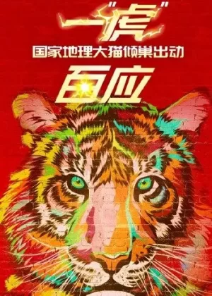 一"虎"百应海报