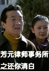 芳元律师事务所之还你清白正片海报