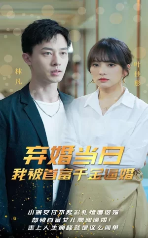 弃婚当日,我被大佬千金逼婚海报