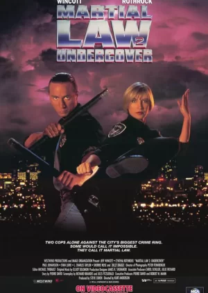 铁胆雄风(国语)海报