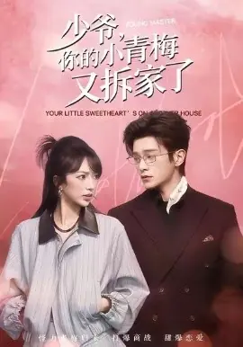 少爷,你的小青梅又拆家了海报