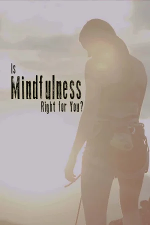 正念适合你吗海报