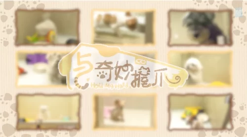 与奇妙握爪海报