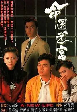 命运迷宫(粤语)海报