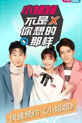 小姐姐不是你想的那样海报