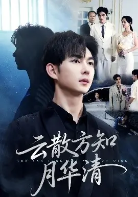 云散方知月华清海报