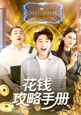 花钱攻略手册海报