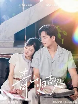 青山归杳处海报