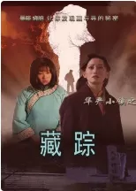 华严小镇之二藏踪海报