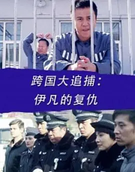 跨国大追捕:伊凡的复仇海报