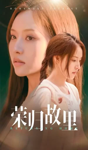 荣归故里海报