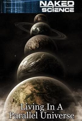 生存在平行宇宙海报