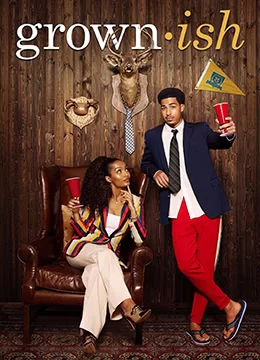 成长不容易第五季海报