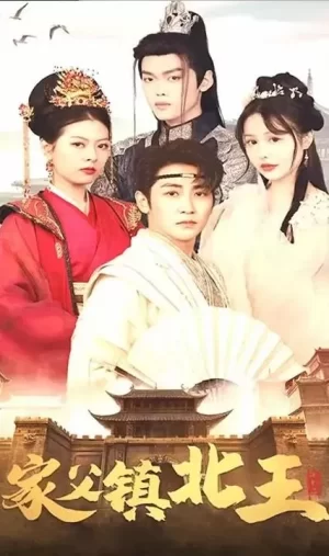 家父镇北王海报