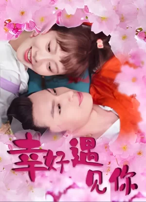 幸好遇见你海报