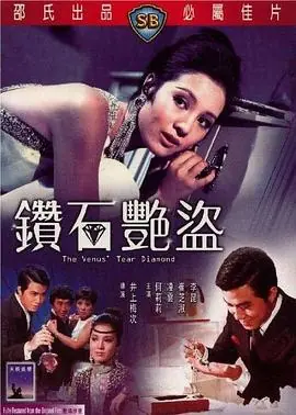 钻石艳盗(国语)海报