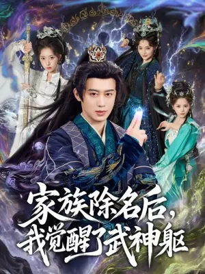 家族除名后,我觉醒了武神躯海报