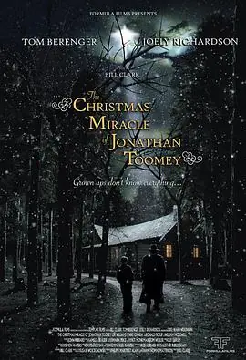 乔娜莎&middot;图米的圣诞奇迹TheChristmasMiracleofJonathanToomey海报