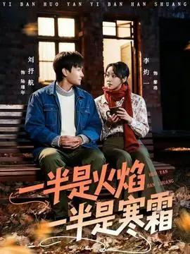 一半是火焰一半是寒霜海报
