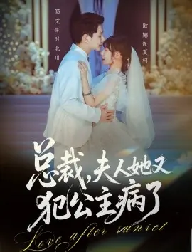总裁,夫人她又犯公主病了海报