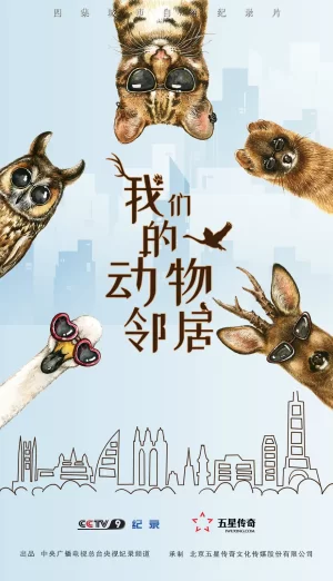 我们的动物邻居海报