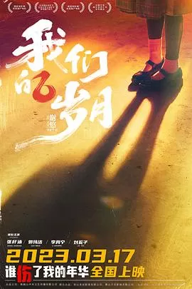 我们的岁月海报