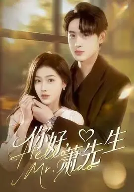 你好,萧先生海报